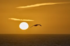 B50679E3-9AFC-4040-B882-D542C76D5232